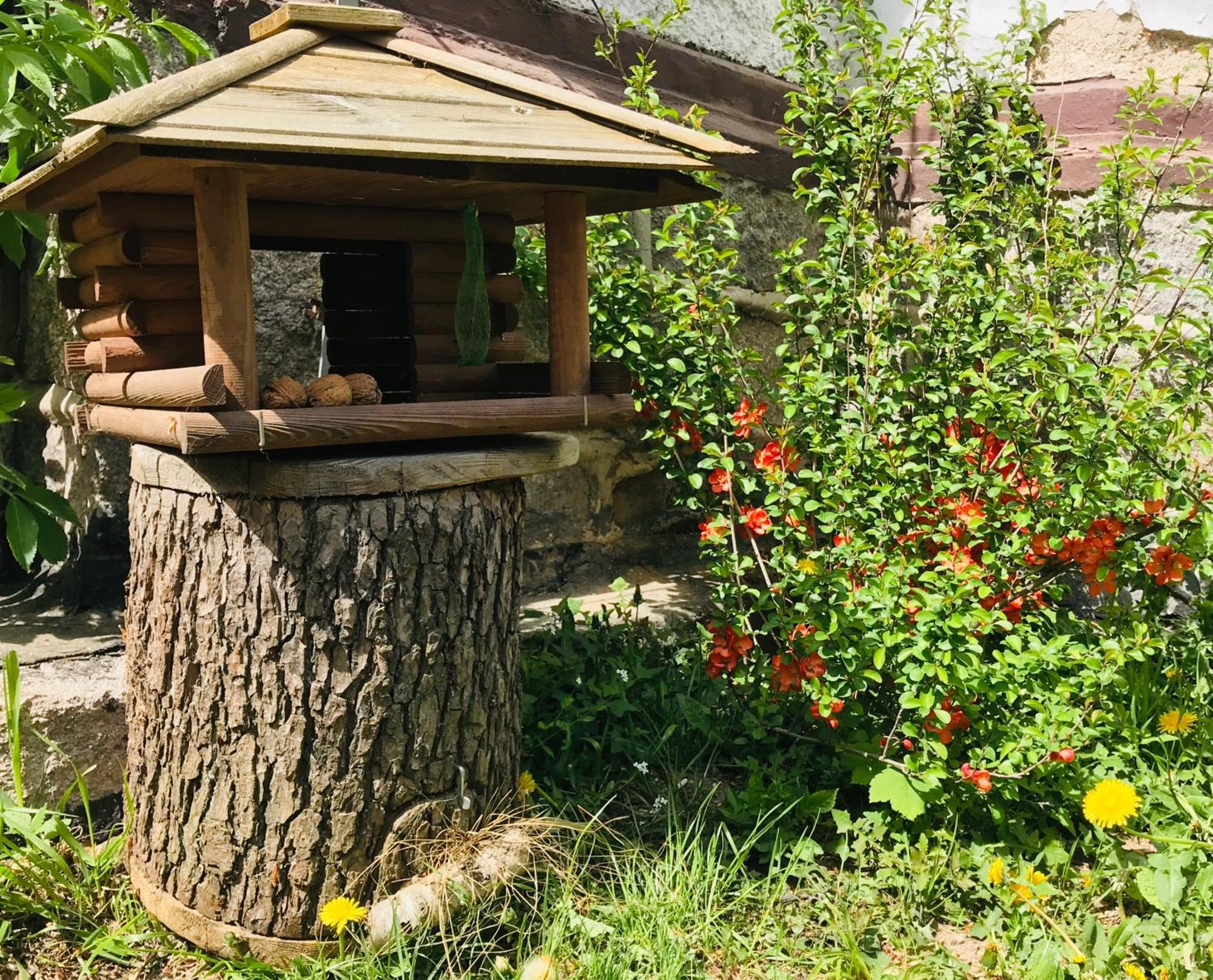 Apartamenty Pod Skocznia Karpacz Habitación foto